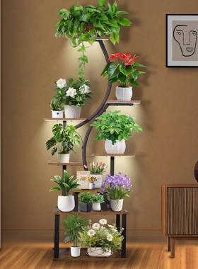 内植物支架架8层金属89035植物搁板室内植物展内示室架室花卉展示