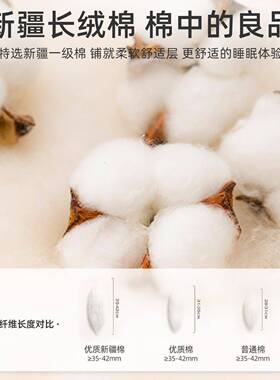 棉花床垫软垫家双用宿人榻榻棉絮褥子学生舍出租屋单人床垫CKA米