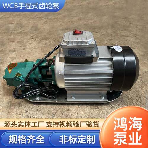 WB手提式齿轮泵小型918电C动抽油泵自吸式轮泵柴油泵便携式手齿提