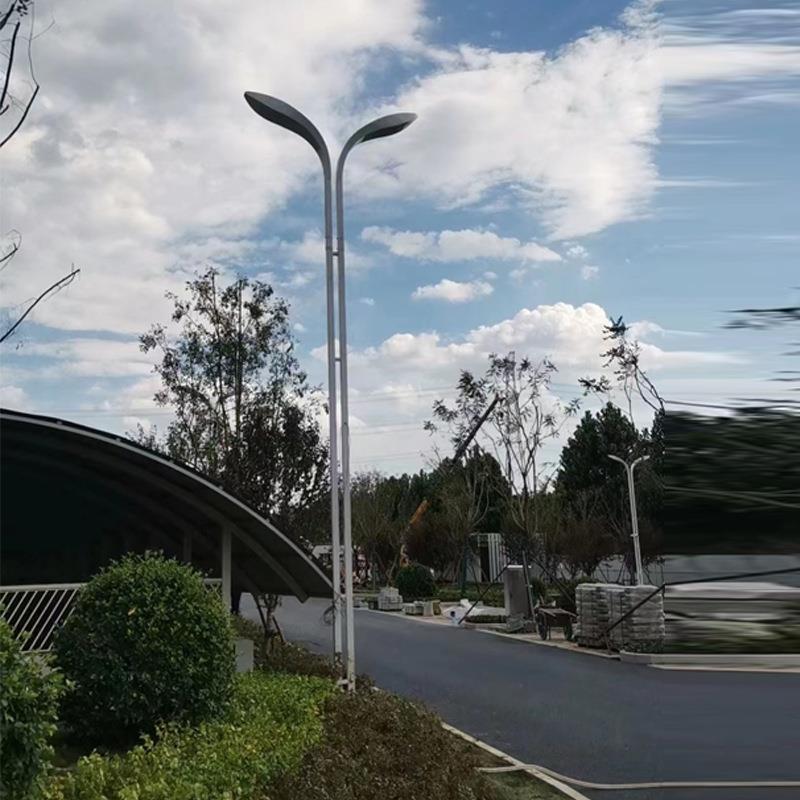 户外市电双路10米8灯米A-0046米热镀杆锌路灯臂公路100WLED