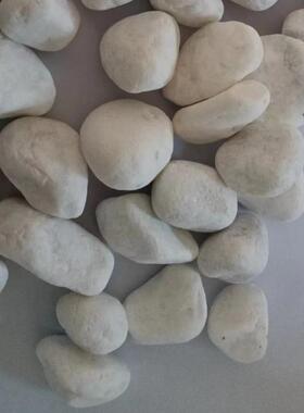 白色鹅石雪花卵白砾石庭院白水石UUJ子铺路造白色洗石白鹅卵景石