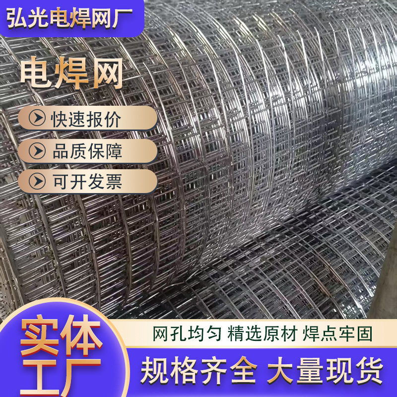 热镀锌电焊网墙面抹灰防裂焊接电焊网养殖铁丝网316不锈钢焊接网