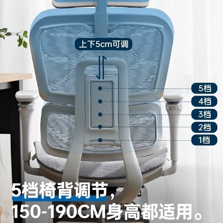 人体工学椅子护腰电脑办公椅久坐不累靠背舒适家用电竞椅子老板椅