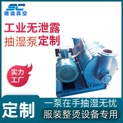 TLZ25-320抽湿真空机 除湿气大泵  流量稳定性可控 防漏液 高度保