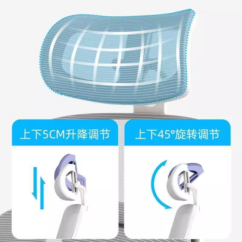 体人工学椅子家用学生宿舍电竞靠椅舒适久坐公座椅书桌背旺平52椅