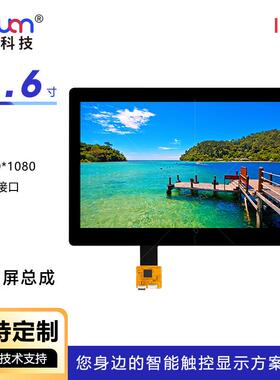 11.寸液晶屏触摸总成贴合19210*0680BKNEDP接口11.6寸清高亮高屏
