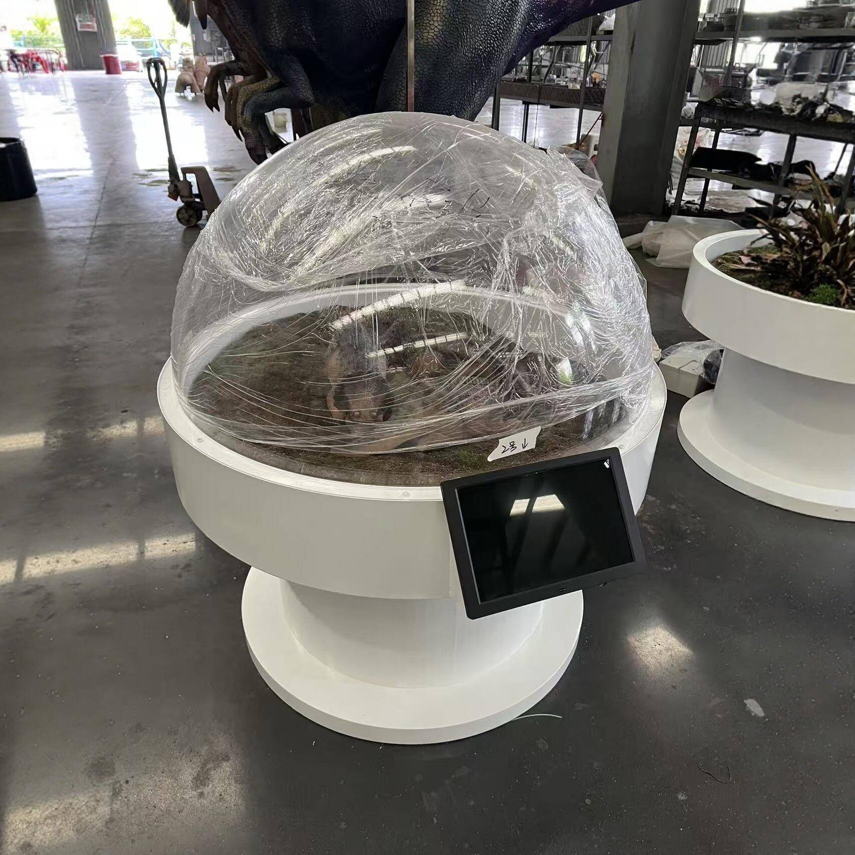 恐龙幼崽孵化仓科普展览孵化器动态小恐龙活体标本