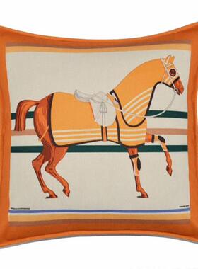 B10美式轻奢橙色爱居沙发套抱枕套靠C背样F76M6H7S马板间绒布床家