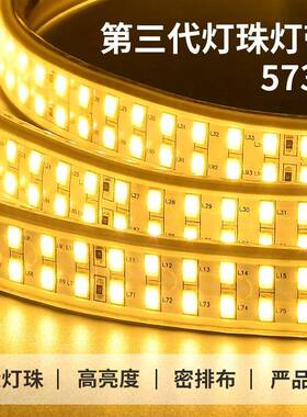 le2d灯带户外防水20v客厅光外墙工程外暖白暖色室庭院IFU带灯条