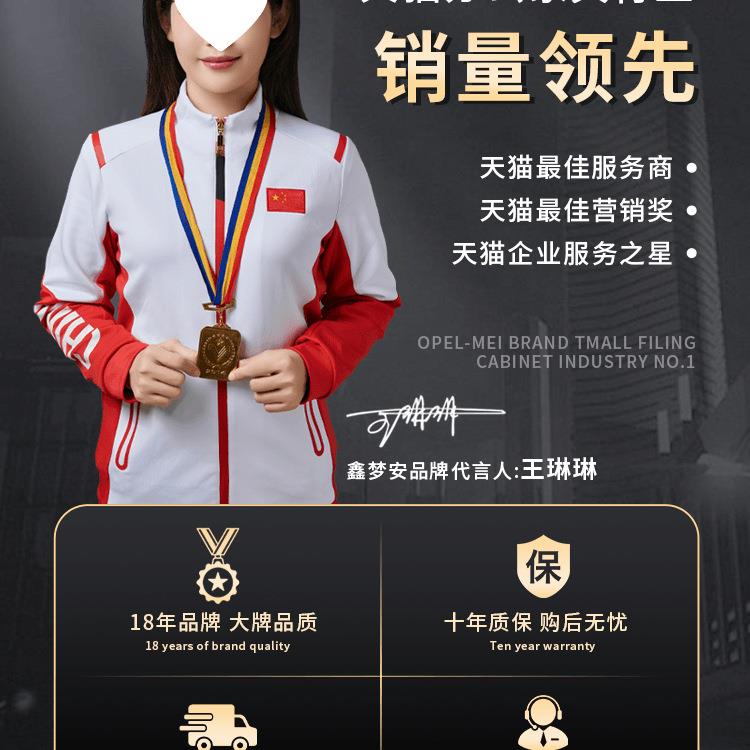 凭证柜档案柜资料会计财务钢制储物通玻合同专用铁皮办公室文件柜