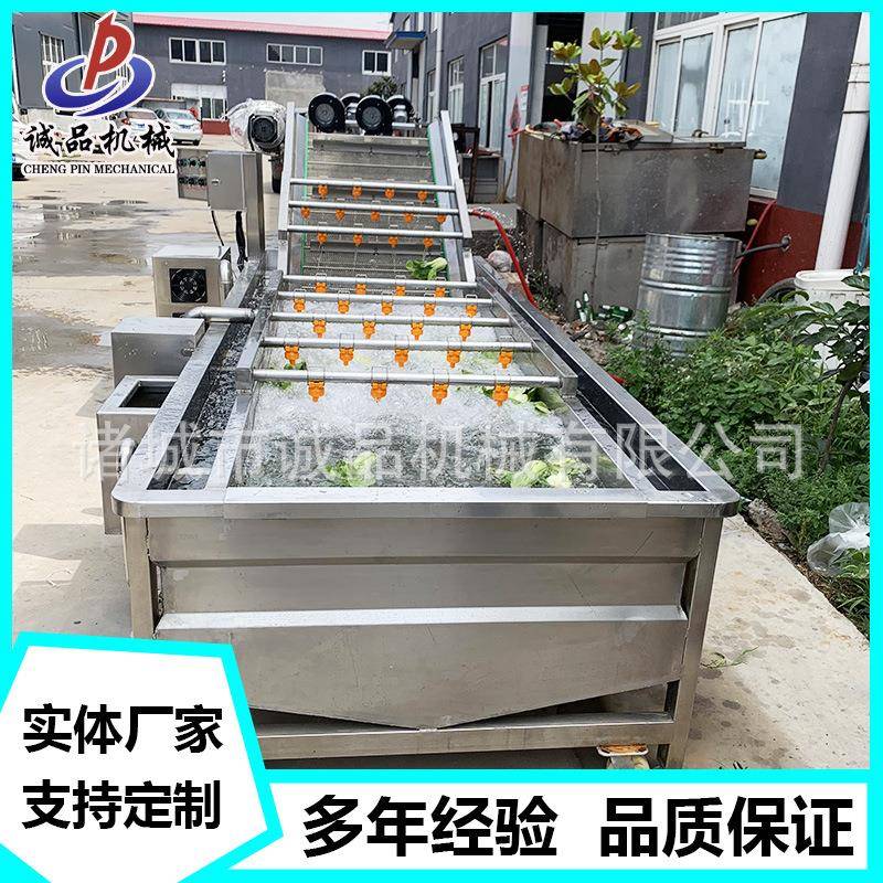 银耳果蔬气泡清洗机龙须菜清洗机净菜清洗设备鱼腥草清洗机