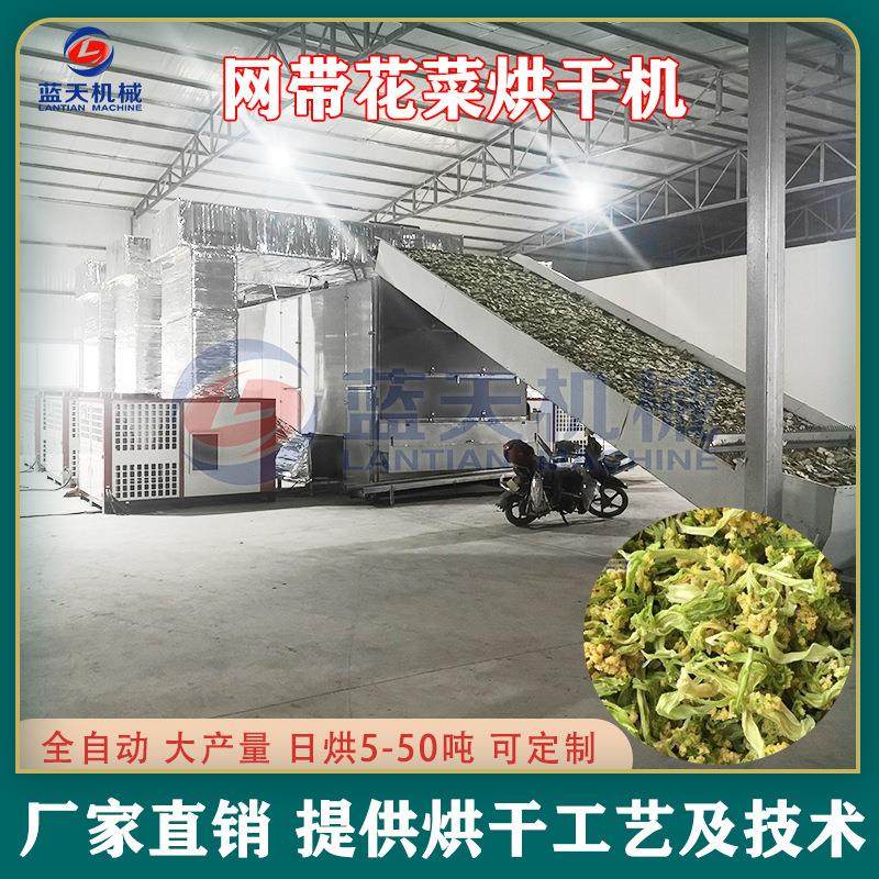 花菜烘干机 连续式菜花椰菜花清洗脱水生产线 花椰菜蒸汽式干燥机,机械设备,干燥机/干燥箱/烘干机,淘宝优惠券,粉丝福利购,淘宝优惠卷
