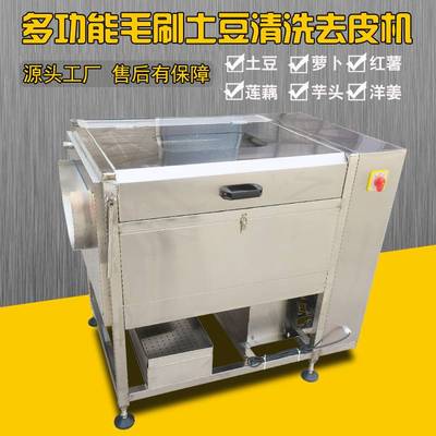 生姜去皮机商用毛刷土豆清洗机全自动莲藕脱皮机多功能芋头去皮机