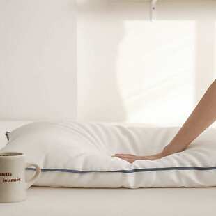 酒店超软不变形丝羽绒颈椎家用儿童成人薄款单人睡眠一对超低枕头