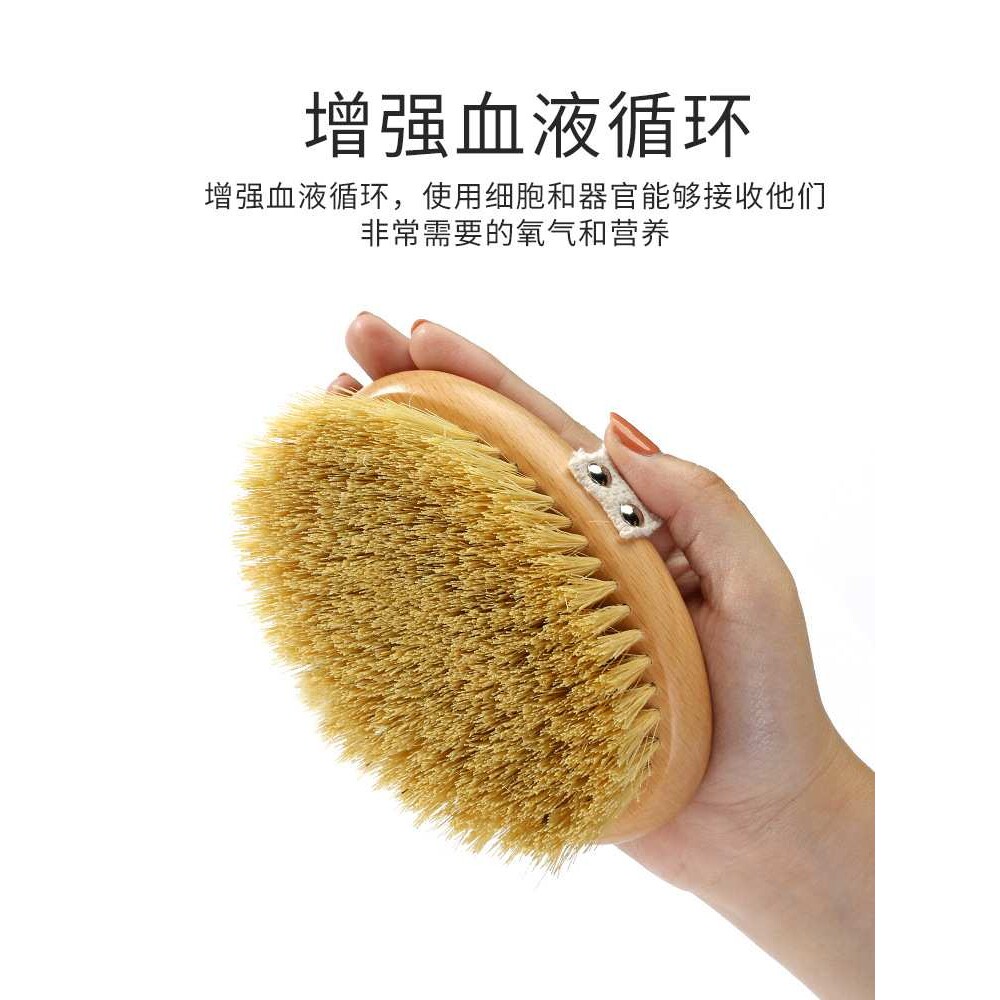 ?444Z 身体刷干刷皮肤刷酸磨砂膏洗澡刷子米兰达可儿美体猪鬃