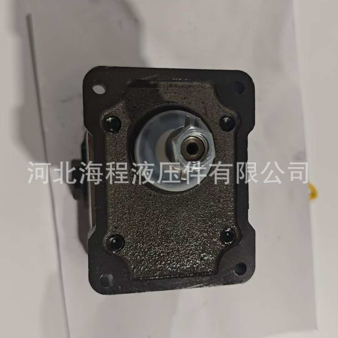 5167392 液压泵 适用凯斯 纽荷兰 福特 菲亚特拖拉机