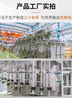 EEG中电电气油浸式电力变压器S1ALH3-M0-C315kA-V250kVA/10kV/0.4