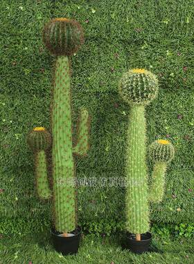 厂家直销仿沙漠绿植仙人真掌IEJ塑料假人仙球布景装饰盆栽仙人棒
