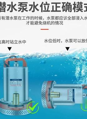 新款灌流潜水泵12EQxYMY2DV24V48V260V直7V抽水泵农用抽水机溉家