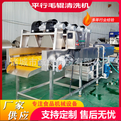 工厂用果蔬毛辊清洗风干线