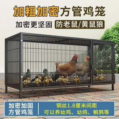 养特VFN鸡笼笼家用鸡笼子养殖笼家用铁笼子舍鸡家用蛋鸡大号包邮