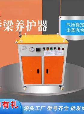 全自动电热蒸蒸汽发生器桥梁养护发工业电NRY汽炉出快蒸汽生器