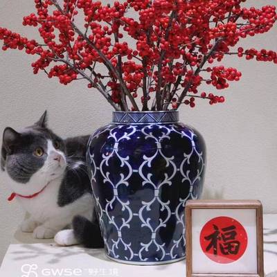 陶瓷器罐青花插花插现代家居品TM201903中新式装饰瓷客厅电视柜摆