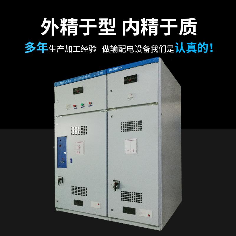 xgn15高开柜10kv环网柜压高压柜二进四出高LP2022F2压高压成低套