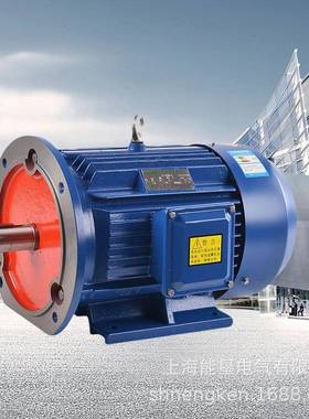 三相5316电机YE2-2K503M255KW/75/90/315S-2110-W全铜电机80V卧式