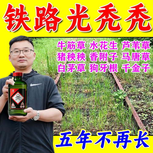 铁路专用除草烂根剂一扫光克星药