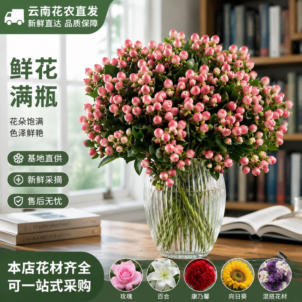 相思豆红豆火龙珠云南基地直发绿豆鲜切花家用水养粉豆花卉婚庆花