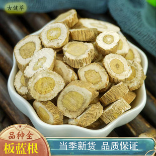 板蓝根精选500g新货板兰根片干货板蓝根干