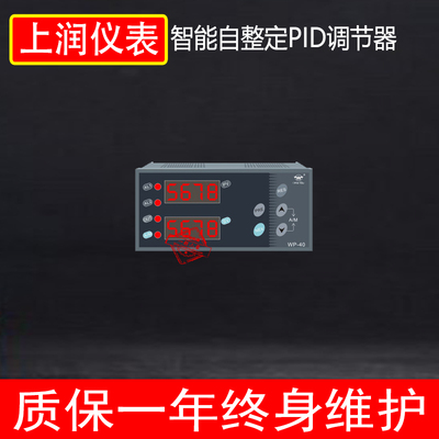 上润仪表WP-D805A/D905A/D405A-020-23-HL  PID自整定恒压调节仪