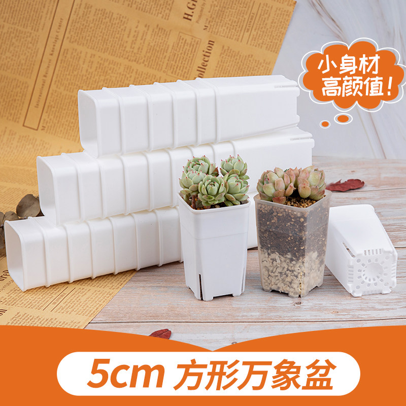 方形万象盆特小号5cm侧开孔小白方多肉花盆塑料迷你加厚高拇指盆