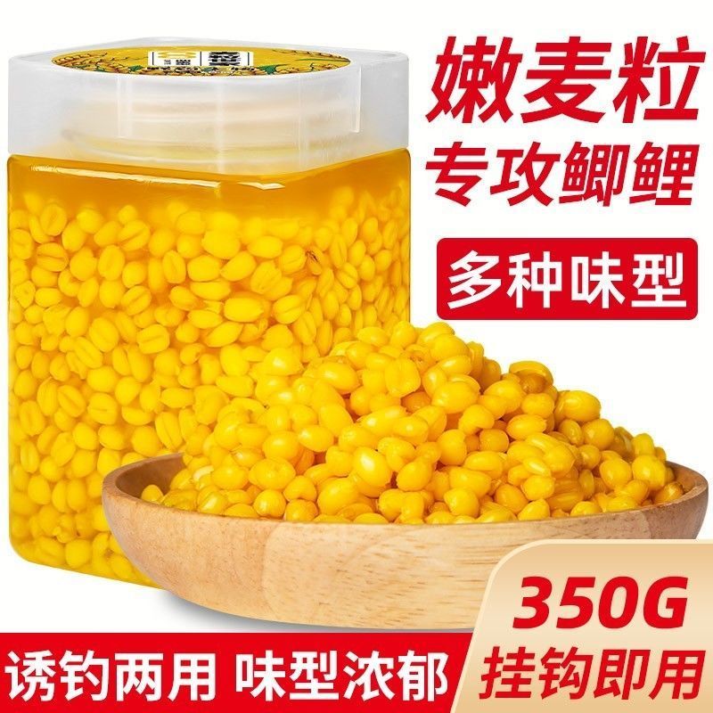 发酵谷麦颗粒打窝料野钓大板鲫鱼鲤鱼隔夜窝重窝挂钩小麦饵料