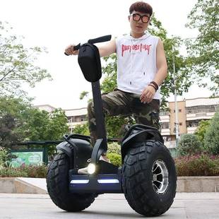 2500g九洲鹰越野双轮电动平衡车成年人 泰迪幼犬犬粮 NuSun 贵宾