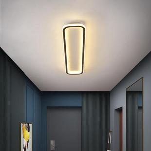 2500g过道走廊灯极简超薄长条阳台玄关 泰迪幼犬犬粮 NuSun 贵宾