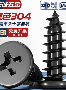 CA 黑色304不锈钢 扁平头十字自攻螺丝 大薄头子平头尖尾沉头螺钉