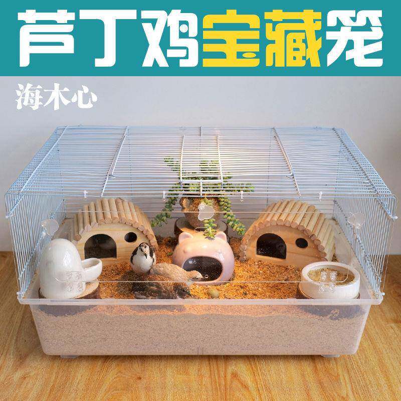 芦丁鸡专用笼鹌鹑养殖家用发酵床垫料饲养箱桂花雀鹌鹑仓鼠基础