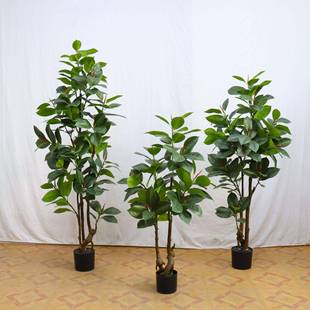 景源仿真植物橡树盆栽家居橱窗软装造景假树印度绿植盆景装饰