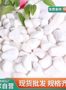 白色抛光鹅石厂别墅庭院造景家石卵雨头园林景观FML白色花石