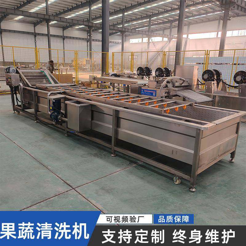 果蔬气泡清洗机水果蔬菜辣椒中药材清洗设备全自动果蔬清洗机小型,清洗/食品/商业设备,其他食品加工设备,淘宝优惠券,粉丝福利购,淘宝优惠卷