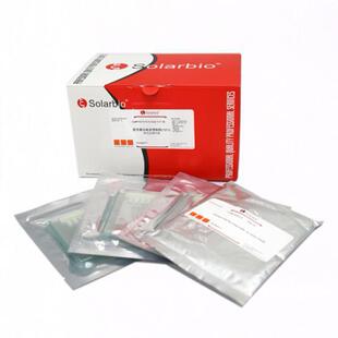 PGP41212-SPrecast-Gel变性蛋白预制胶（Plastics)12孔，4-12%