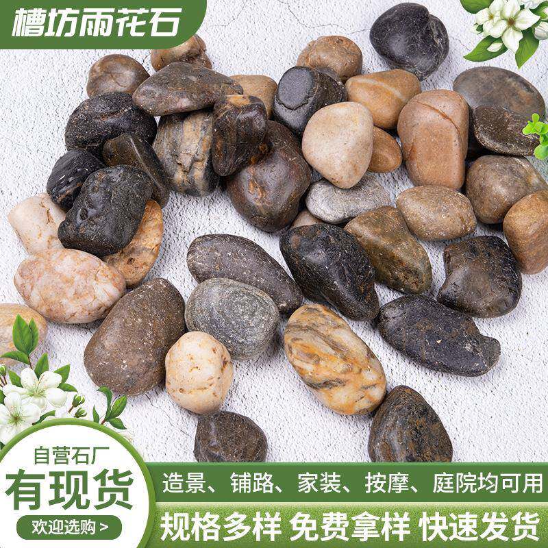 杂色鹅238家卵石厂砾石雪花园林庭院石家铺面按摩造装景头原石子