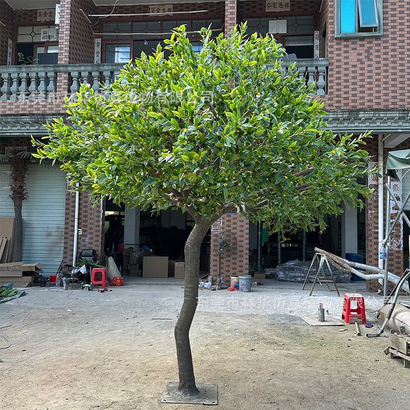 仿真月桂树大型玻璃钢仿真桂花树室内外装饰园林布置景观人造树