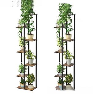 花架子层多阳盆台花落地式 置YWP物架轻奢室架内拼接爬藤绿萝花架