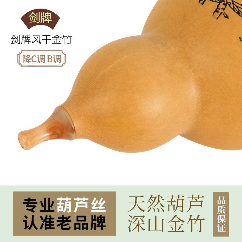 金丝楠学竹葫芦丝C生调调降B成人初者小无品牌/学自学演奏乐器