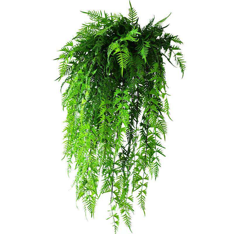 仿金星蕨草真蕨内铁线墙面绿植吊篮吊兰挂花艺单蕨只/束垂吊壁塑