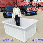 箱旭菲塑料水长方形转加牛筋大号储水桶卖鱼浅盆养厚鱼972周箱水