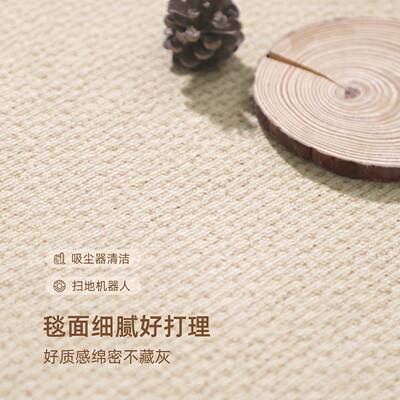 边客厅地毯2052新款现简约卧室床免洗FEM4F207可擦家用沙发地垫加